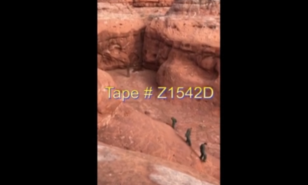 Tape # Z1542D
