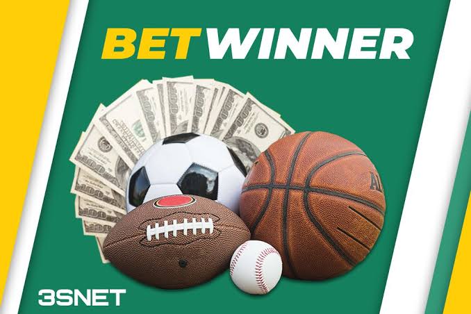 Explore BetWinner Your Gateway to Online Betting